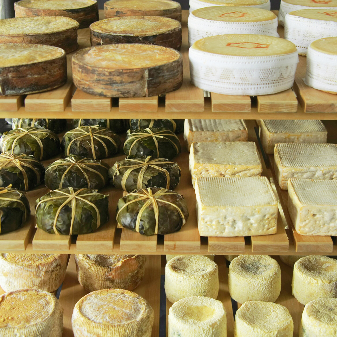 All Cheeses