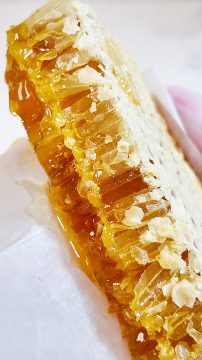 Savannah Bee Honeycomb