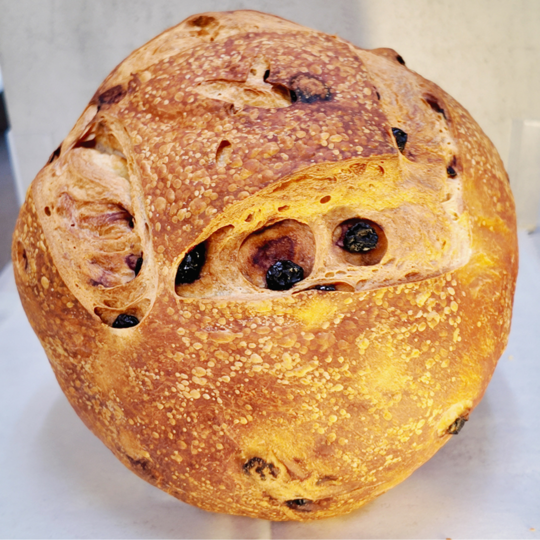 Blueberry & Goat Cheese Sourdough